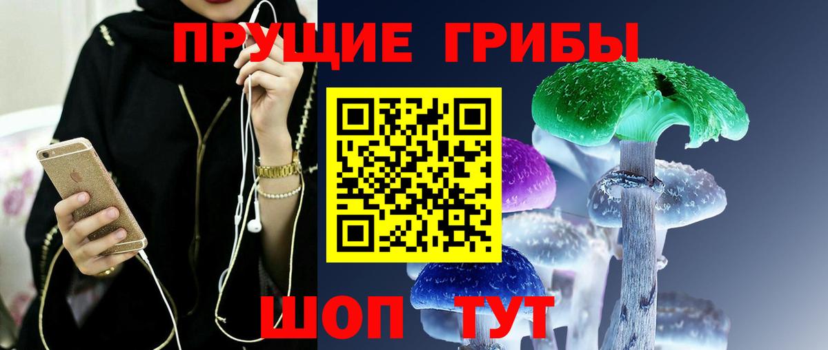 Галлюциногенные грибы Psilocybine cubensis Крымск